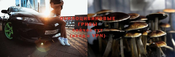 дурь Вязьма