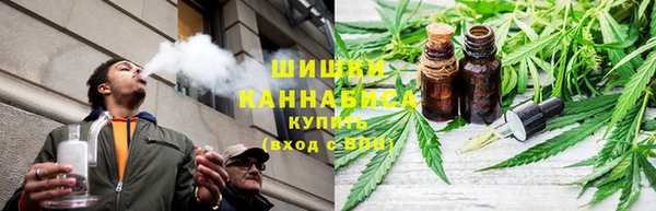 spice Вяземский