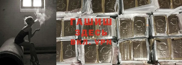 spice Вяземский