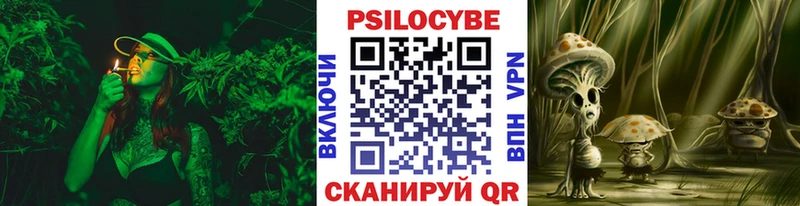 наркота  Ногинск  Псилоцибиновые грибы ЛСД 